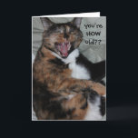 Cartão Funny Laughing Cat, Oldtimer (Antique) Birthday<br><div class="desc">Funny Laughing Cat,  Old Timer (Antique) Birthday Card; You're HOW old?? i'll probably be seeing you on the Antique Road Show before long!!!</div>