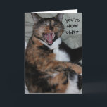 Cartão Funny Laughing Cat, Oldtimer (Antique) Birthday<br><div class="desc">Funny Laughing Cat,  Old Timer (Antique) Birthday Card; You're HOW old?? i'll probably be seeing you on the Antique Road Show before long!!!</div>