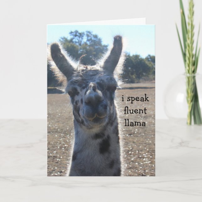 Cartão Funny Llama Birthday Card, I speak fluent llama... (Frente)