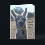 Cartão Funny Llama Birthday Card, I speak fluent llama...<br><div class="desc">Funny Llama Birthday Card,  I speak fluent llama... </div>