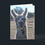 Cartão Funny Llama Birthday Card, I speak fluent llama...<br><div class="desc">Funny Llama Birthday Card,  I speak fluent llama... </div>
