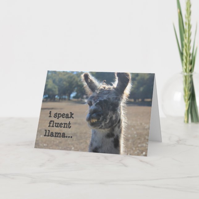 Cartão Funny Llama Birthday Card, I speak fluent llama... (Frente)