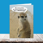 Cartão Funny Meerkat Groundhog Day Card<br><div class="desc">This card features the fictitious Melvin the Meerkat. On the cover is a photo of Melvin with a talk bubble that reads, "How many times do I have to tell you I am NOT a GROUNDHOG!" The inside verse let's you know what Melvin would like and wishes you a Happy...</div>