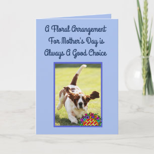 Cartão Funny Mother's Day Card w/Cute Basset Hound