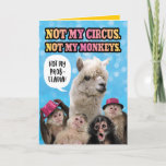 Cartão Funny Not My Circus, Not My Monkeys Birthday Llama<br><div class="desc">This llama is surrounded by monkeys! The card says,  "Not my circus. Not my monkeys." The llama is saying,  "Not my probllama!" A little play on words. Inside the card says,  "It's YOUR circus and YOUR monkeys! Happy Birthday!</div>