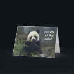 Cartão Funny Panda Birthday, no cake? BAMBOOzled!<br><div class="desc">Funny Panda Birthday,  no cake? BAMBOOzled!</div>