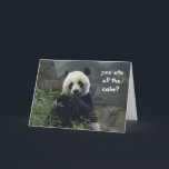 Cartão Funny Panda Birthday, no cake? BAMBOOzled!<br><div class="desc">Funny Panda Birthday,  no cake? BAMBOOzled!</div>