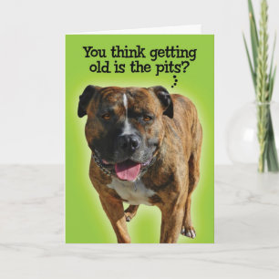 Cartão Funny Pit Bull Birthday Card