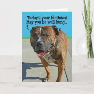 Cartão Funny Pit Bull Birthday Card