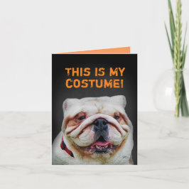 Cartão Funny Poodle Dressed as a Bulldog Halloween