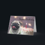 Cartão Funny pug birthday<br><div class="desc">Fawn pug with a happy tongue hanging out funny expression on his face and a cake in the background cute dog lovers  birthday greeting card</div>