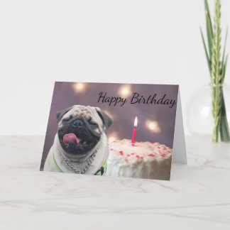 Cartão Funny pug birthday