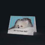 Cartão Funny Puppy Birthday Card<br><div class="desc">Bright mod aqua blue stripes surround a cute white Pomeranian puppy who's asking: You're how old? Inside text says: Have a Happy Birthday anyway!. All text is customizable. © Little Wing Photography & Design</div>