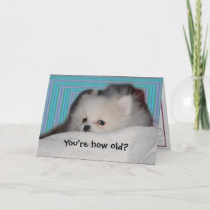 Cartão Funny Puppy Birthday Card