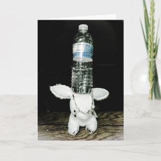 Cartão Funny Rabbit Birthday Card. Be eXtraordinary