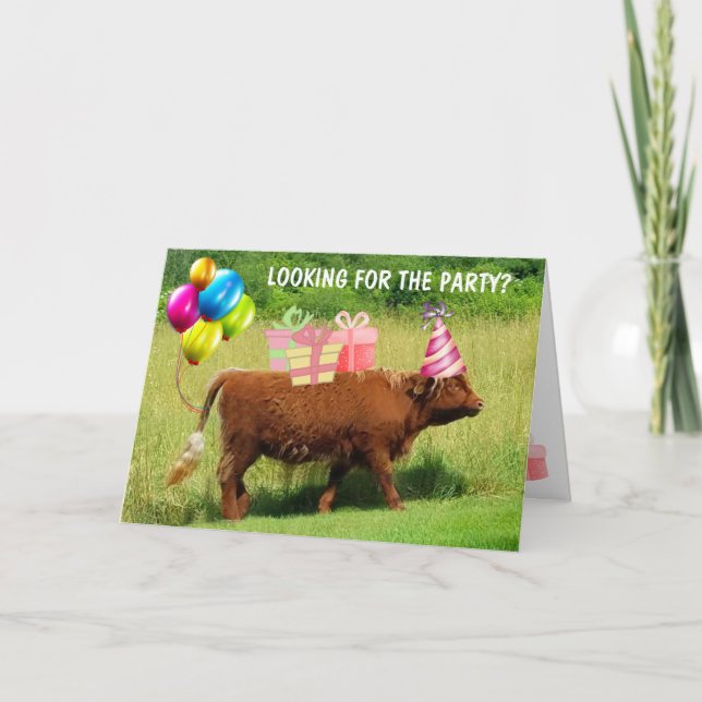 Cartão Funny Scottish Highland Steer Birthday (Frente)