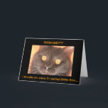 Cartão Funny Shocked Cat Birthday Card (Extra Fries!)<br><div class="desc">Funny Shocked Cat Birthday Card,  front of card says: EXERCISE?? i thought you asked if i wanted EXTRA fries...  Inside: happy birthday,  i hope you get everything you really asked for!</div>