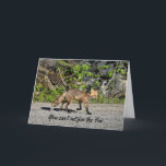 Cartão Funny Sly Fox Birthday Card<br><div class="desc">This wild fox says you can't out fox him. He's strutting across the trail in the north western territory of BC. A humorous and sly animal photography birthday card. Customize card as desired.</div>
