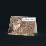 Cartão Funny Squirrel Birthday Card<br><div class="desc">Squirrel birthday card to customise with your own name and greeting! Change the text to your liking.</div>
