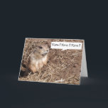 Cartão Funny Squirrel Birthday Card<br><div class="desc">Squirrel birthday card to customise with your own name and greeting! Change the text to your liking.</div>