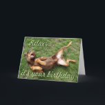 Cartão Funny sunbathing dog birthday card<br><div class="desc">Funny red doberman relaxing birthday card. Text can be customized.</div>