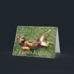 Cartão Funny sunbathing dog birthday card<br><div class="desc">Funny red doberman relaxing birthday card. Text can be customized.</div>