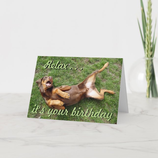 Cartão Funny sunbathing dog birthday card (Frente)