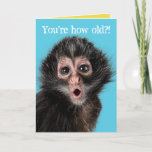 Cartão Funny Surprised Monkey Two Expressions Birthday<br><div class="desc">Surprised monkey asking,  "You're how old?!" Inside he looks even more surprised exclaiming,  "No way! At least you're not as old as you will be next year. Happy Birthday!" Funny card for old people. Customizable.</div>