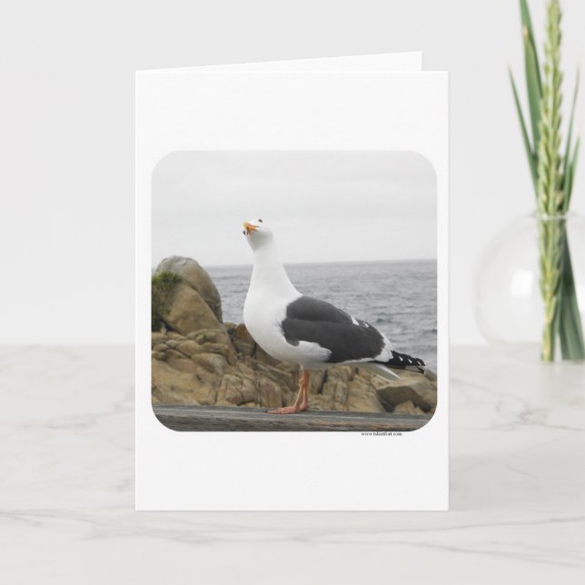 Cartão Funny Tilt Head Seagull (Frente)