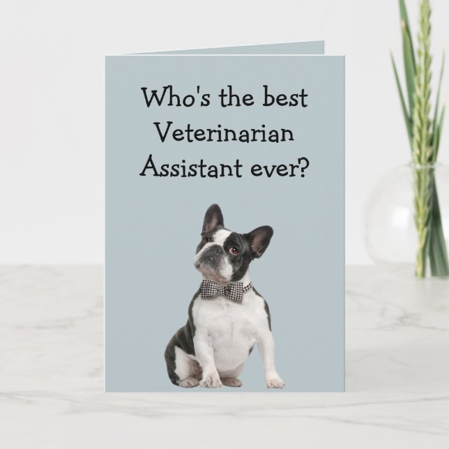 Cartão Funny Veterinarian Asst Thank You  Boston Terrier (Frente)