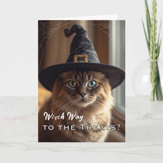 Cartão Funny Whiskerween com Gato Bruxa de Halloween (Frente)