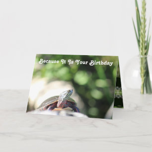 Cartão Funny Wild Old Turtle