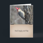 Cartão Funny Woodpecker Birthday Card<br><div class="desc">A woodpecker in a birthday hat declares,  "Headbanging won't help".</div>