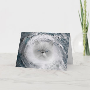 Cartão Furacão Gato Bravo 5