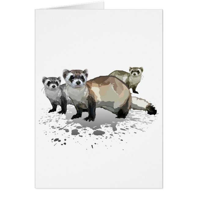 Cartão Furões (Frente)