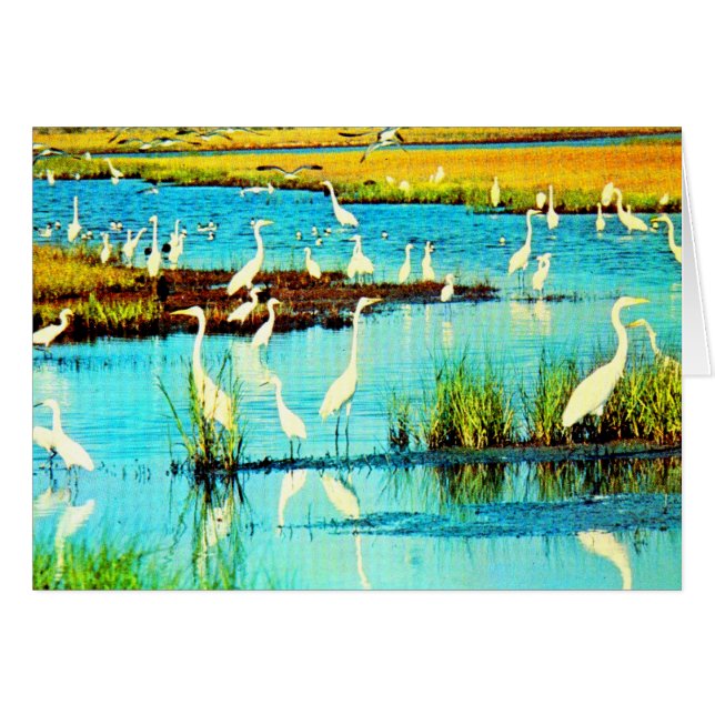 Cartão furos de neve (Frente horizontal)