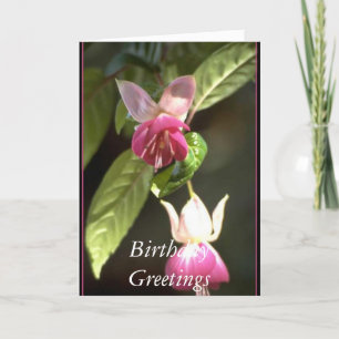 Cartão Fuschia, Birthday Greetings