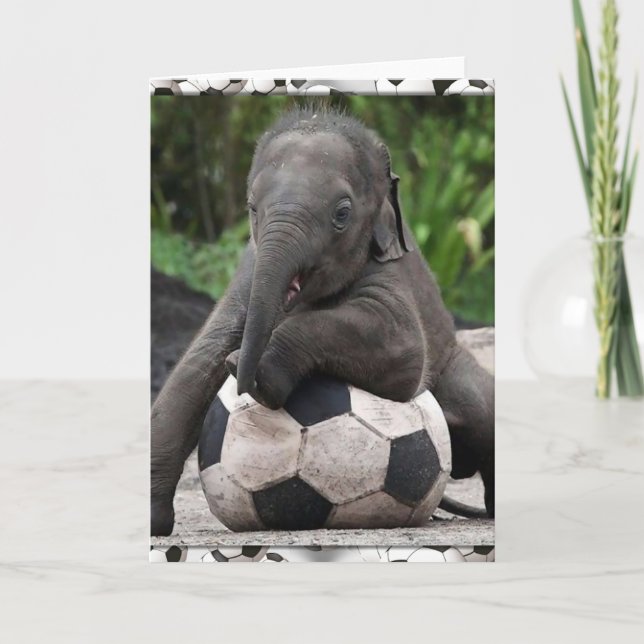 Cartão Futebol do elefante (Frente)