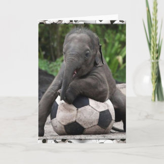 Cartão Futebol do elefante
