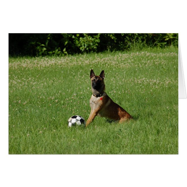 Cartão Futebol Malinois (Frente Horizontal)