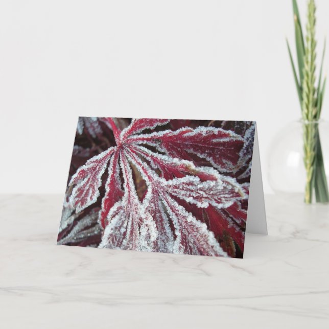Cartão Fuzzy frosty leaf (Frente)