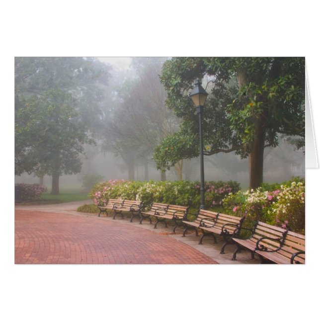 Cartão GA Savannah, Azaleas ao longo da calçada e (Frente Horizontal)