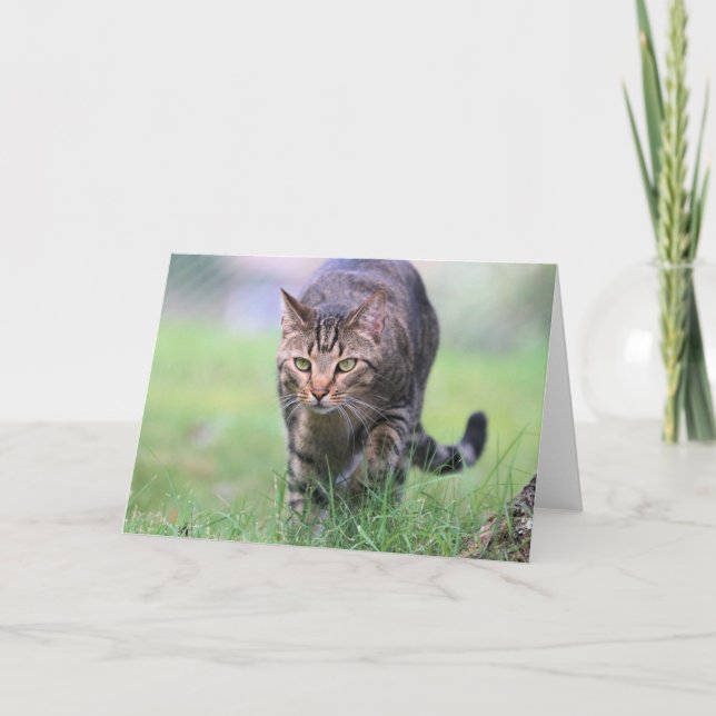 Cartão Gabe (Frente)