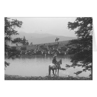 Cartão Gado por uma lagoa com dois vaqueiros