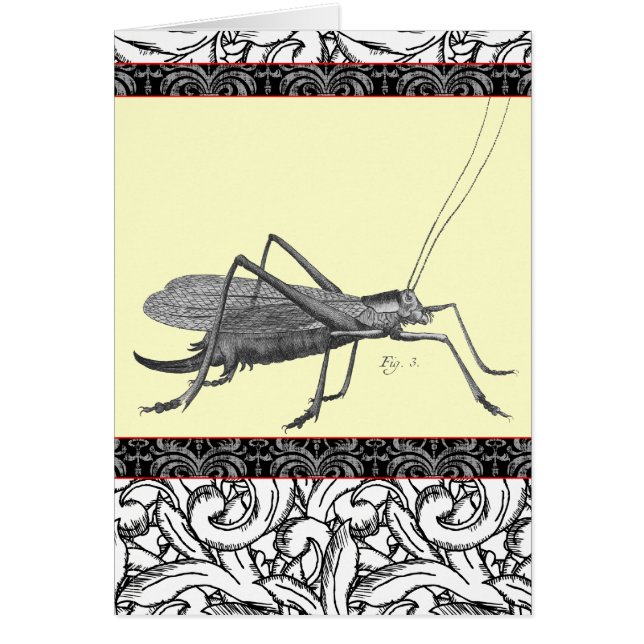 Cartão Gafanhoto muito elegante do impressão antigo (Frente)