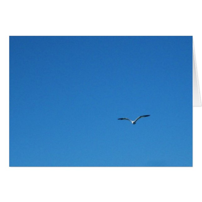 Cartão Gaivota (Frente Horizontal)