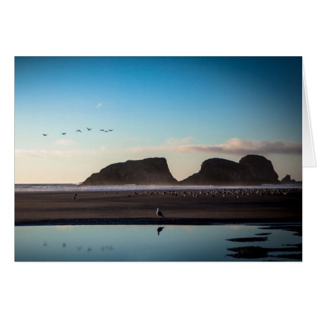 Cartão gaivota (Frente Horizontal)