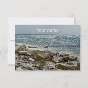 Cartão gaivota e surf do mar