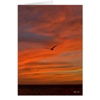 Cartão Gaivota em Sunset - Costa do Texas