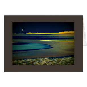 Cartão Gaivota no beira-mar